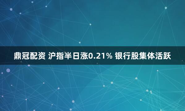鼎冠配资 沪指半日涨0.21% 银行股集体活跃