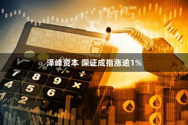 泽峰资本 深证成指涨逾1%