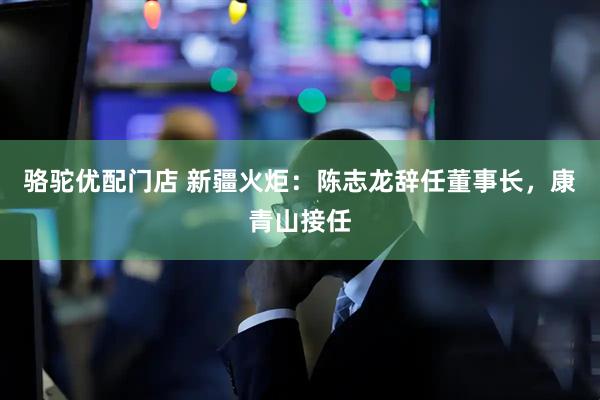 骆驼优配门店 新疆火炬：陈志龙辞任董事长，康青山接任