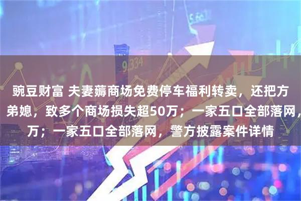 豌豆财富 夫妻薅商场免费停车福利转卖，还把方法教给父亲、弟弟、弟媳，致多个商场损失超50万；一家五口全部落网，警方披露案件详情