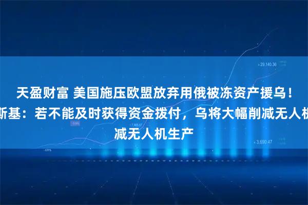 天盈财富 美国施压欧盟放弃用俄被冻资产援乌!泽连斯基:若不能及时获得资金拨付,乌将大幅削减无人机生产