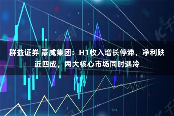 群益证券 豪威集团：H1收入增长停滞，净利跌近四成，两大核心市场同时遇冷