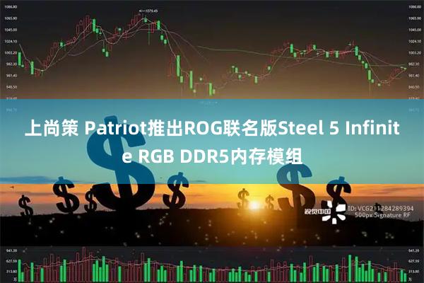 上尚策 Patriot推出ROG联名版Steel 5 Infinite RGB DDR5内存模组